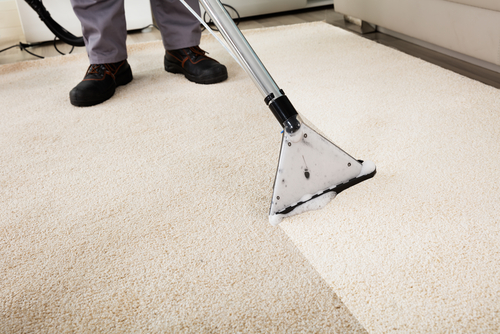 professional carpet cleaning