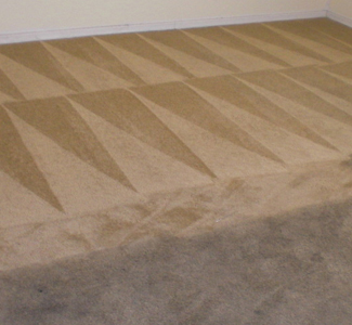 Professional Carpet Cleaning